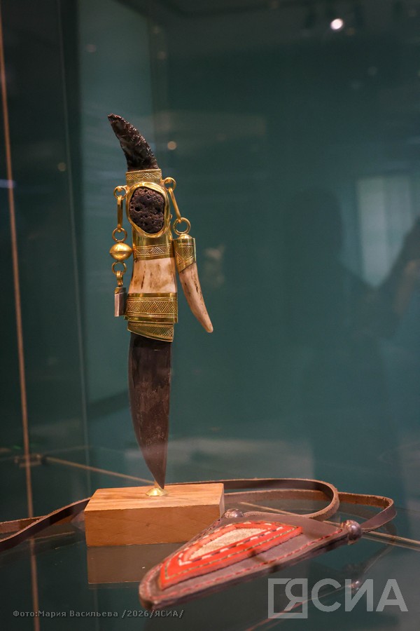 Фото: Мария Васильева/ЯСИА