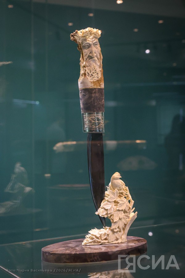 Фото: Мария Васильева/ЯСИА