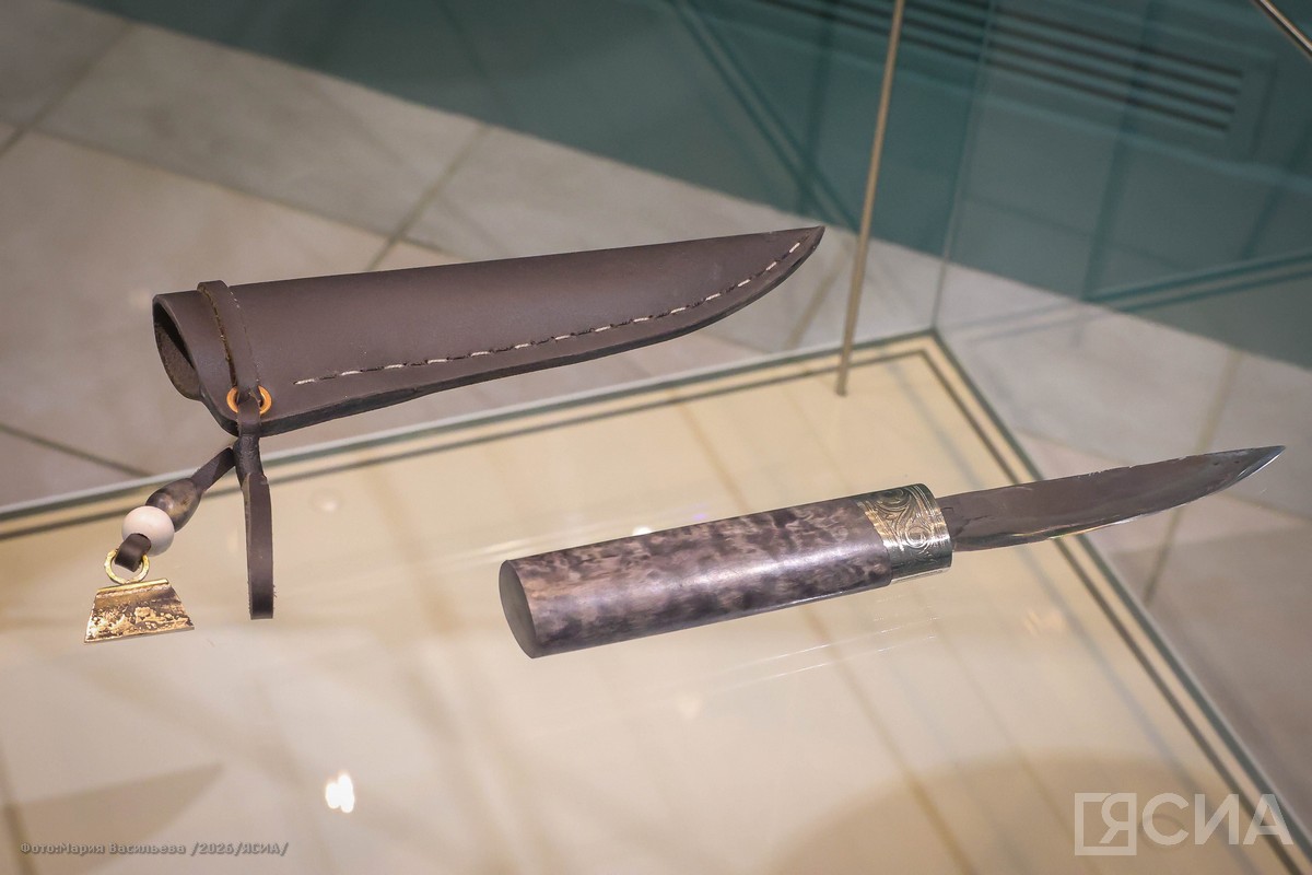 Фото: Мария Васильева/ЯСИА