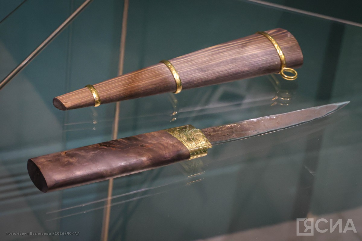 Фото: Мария Васильева/ЯСИА