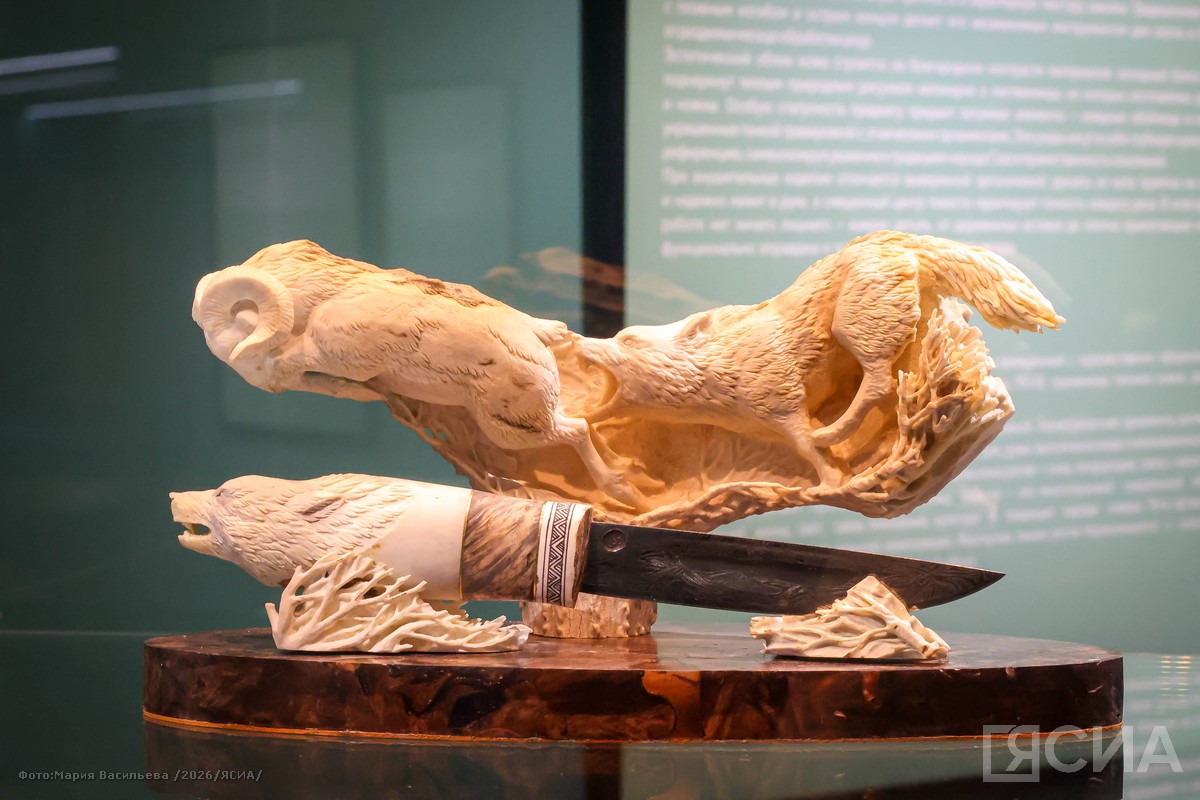 Фото: Мария Васильева/ЯСИА