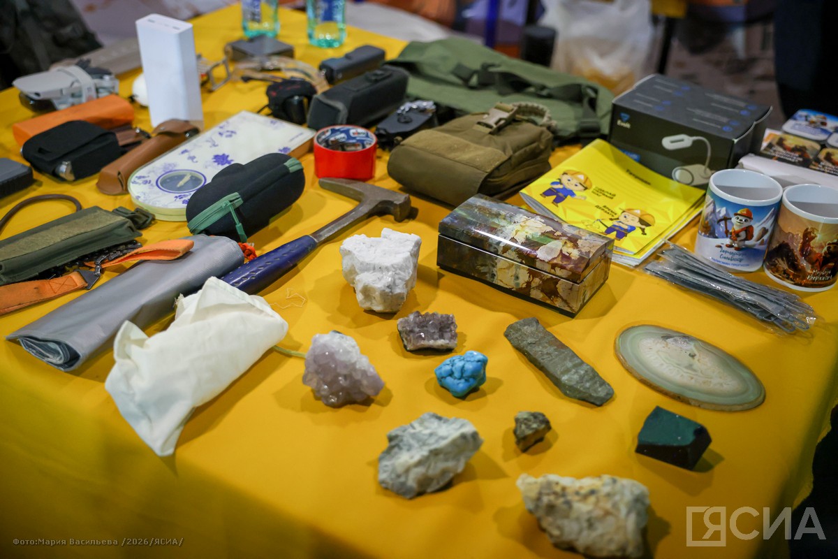 Мария Васильева / ЯСИА