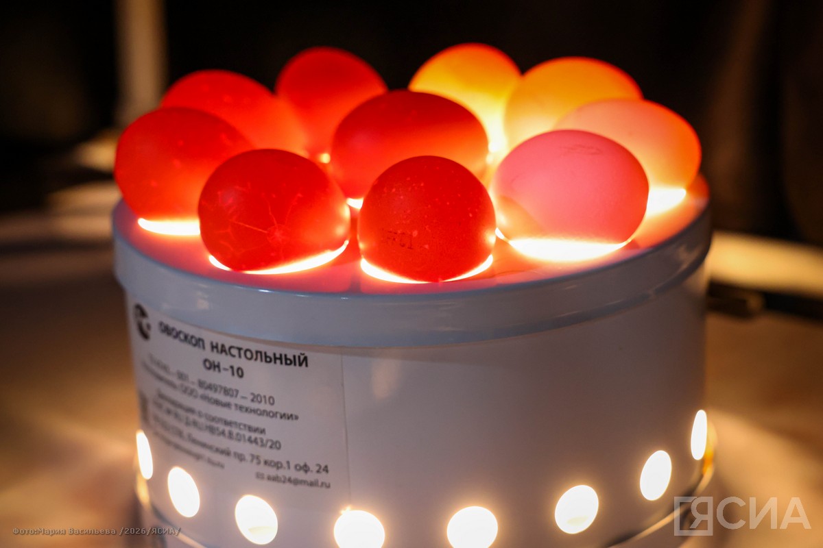 Мария Васильева / ЯСИА