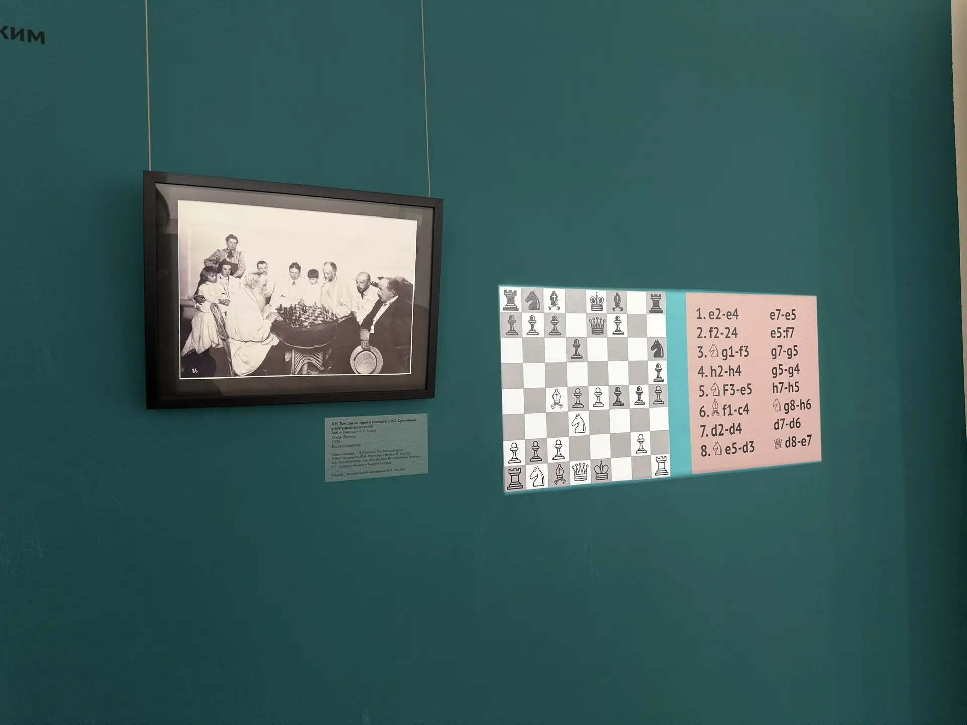 Фото: Мария Горохова/ЯСИА