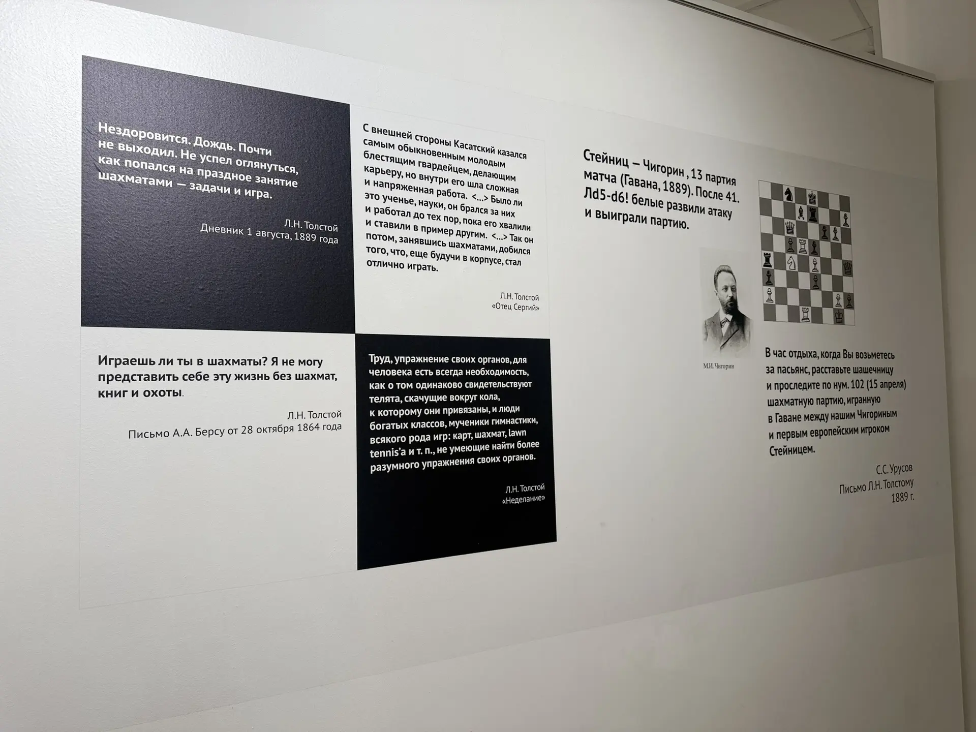 Фото: Мария Горохова/ЯСИА