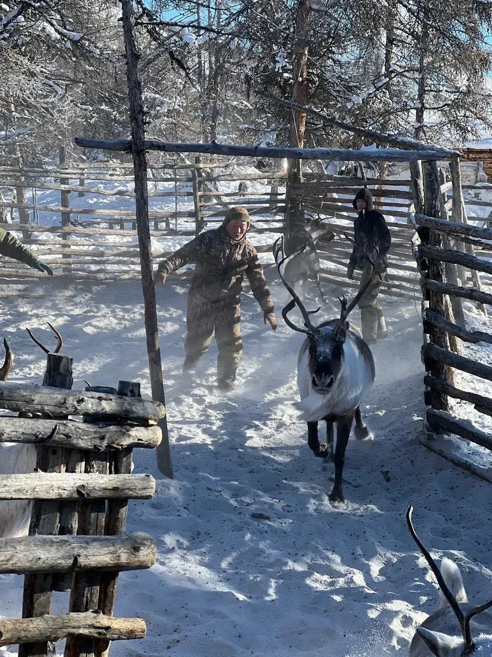 Фото: sakha.gov.ru