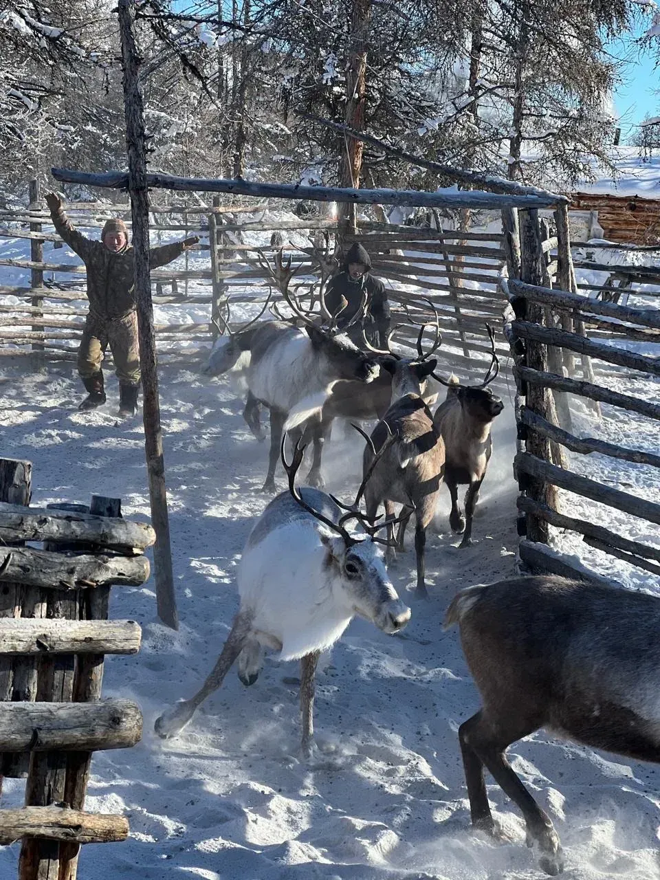 Фото: sakha.gov.ru