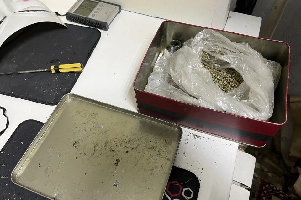 Житель Якутска выращивал коноплю в своем гараже