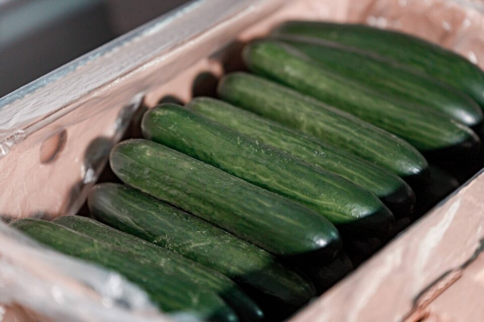 Продукты украли из цеха бортового питания в Якутске