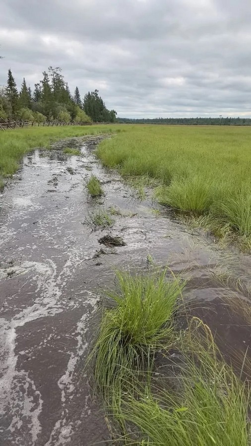 Фото предоставлено администрацией Сунтарского района