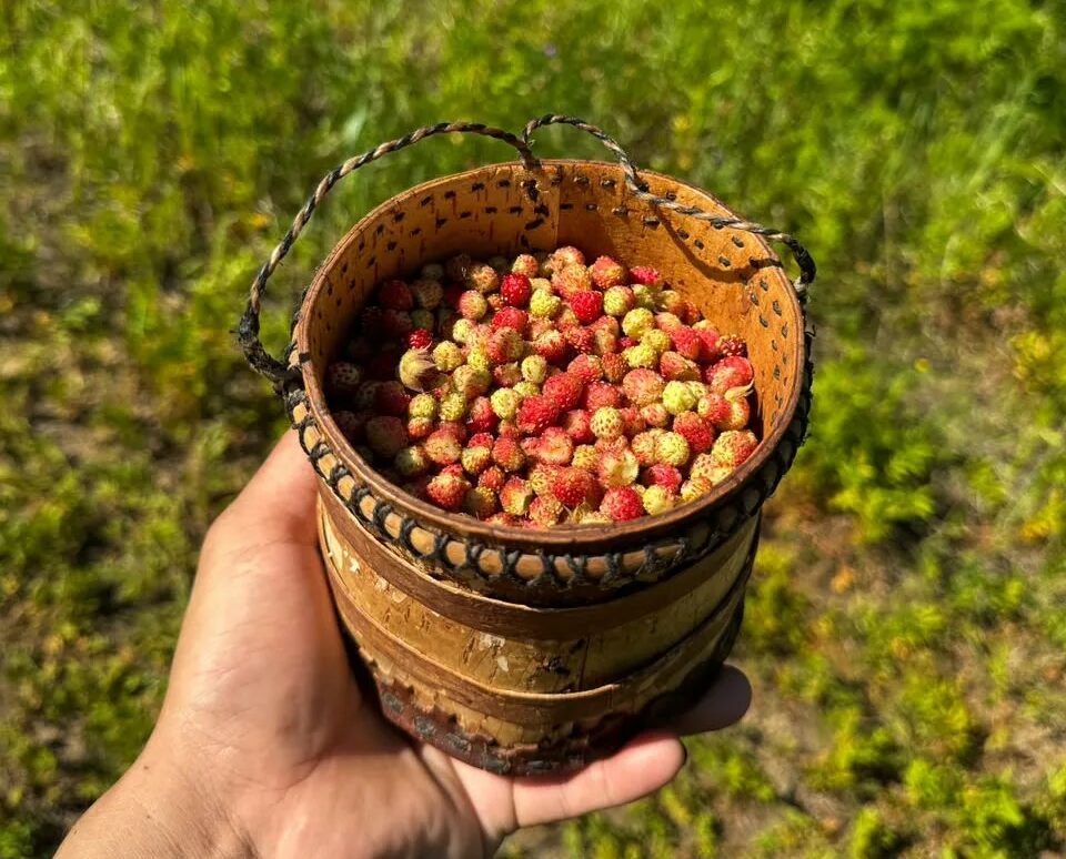 земляника
