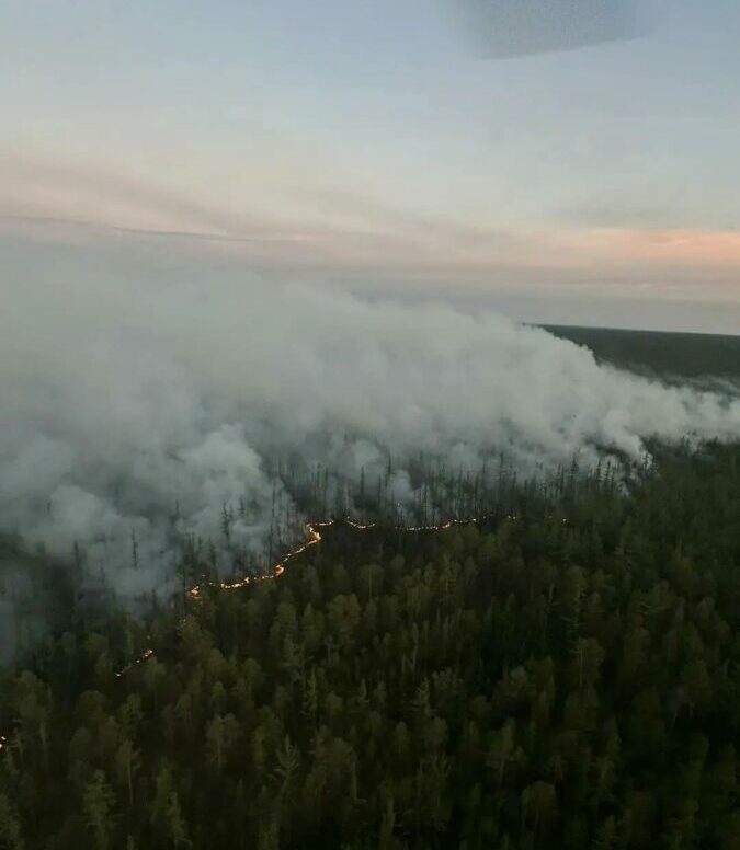 Фото: Авиалесоохрана