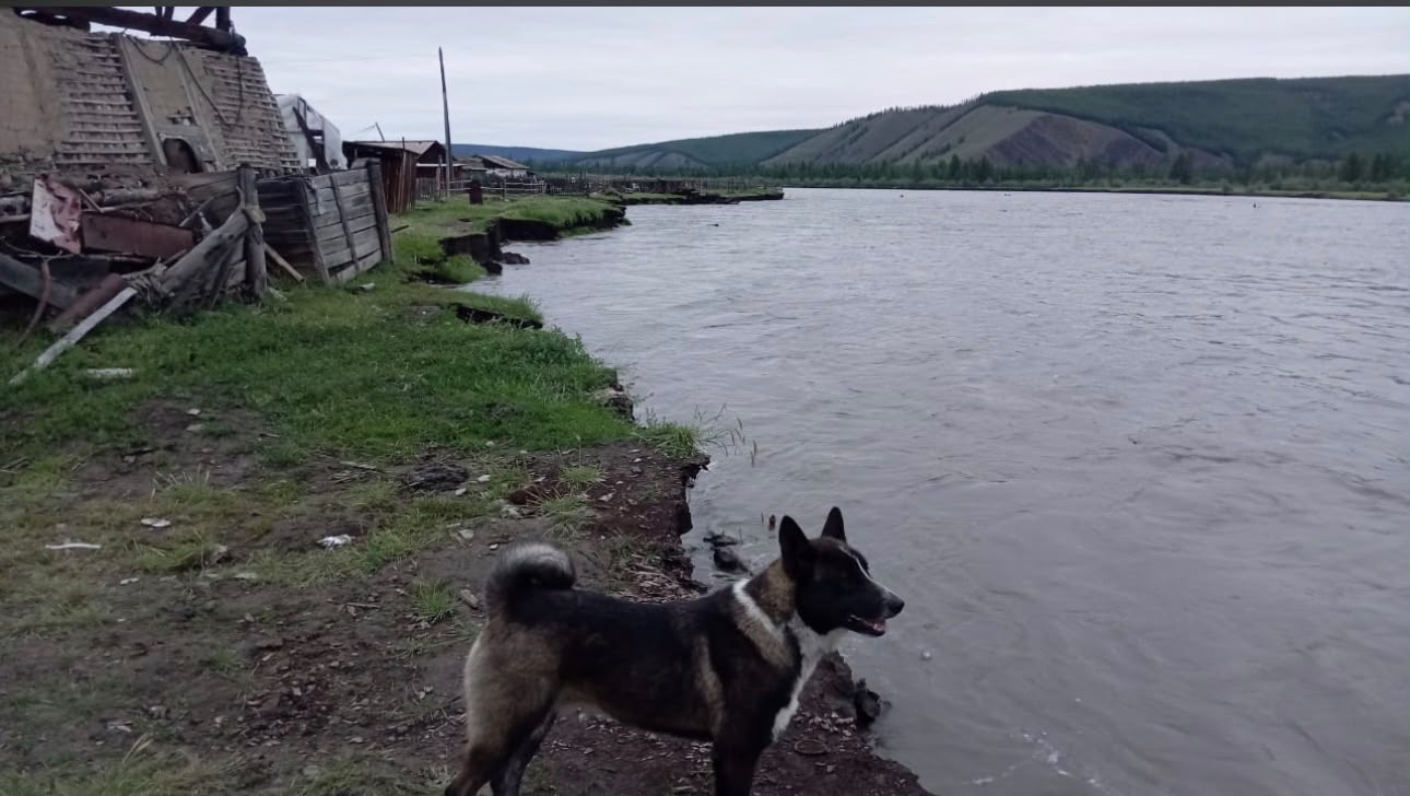 Фото из мессенджеров