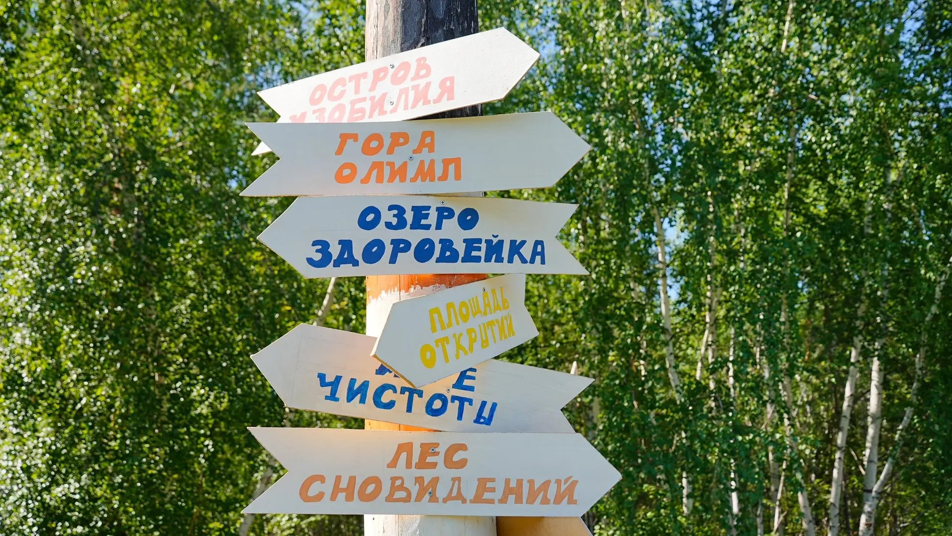 Фото: https://max.ru/channel_sadovnikovdd