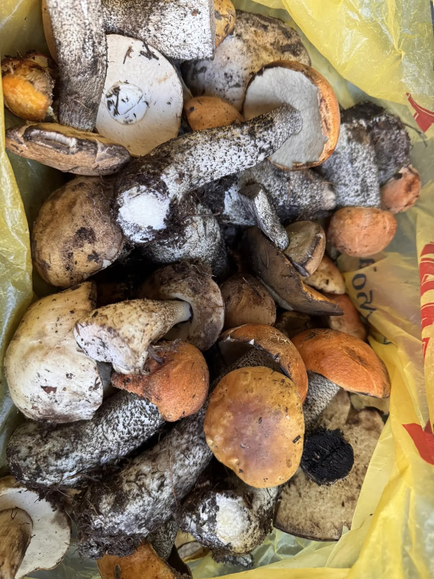 Фото: читатель ЯСИА