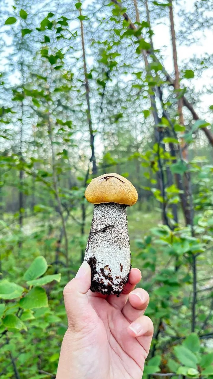 Фото: читатель ЯСИА