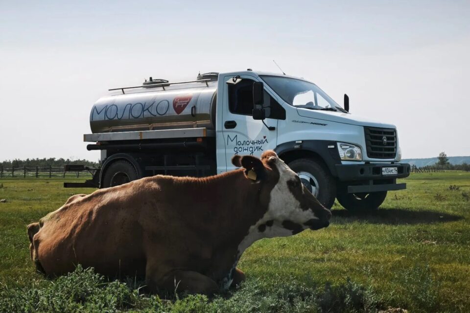 «Давайте разберемся»: как молоко с ферм становится вкусным продуктом на столах якутян