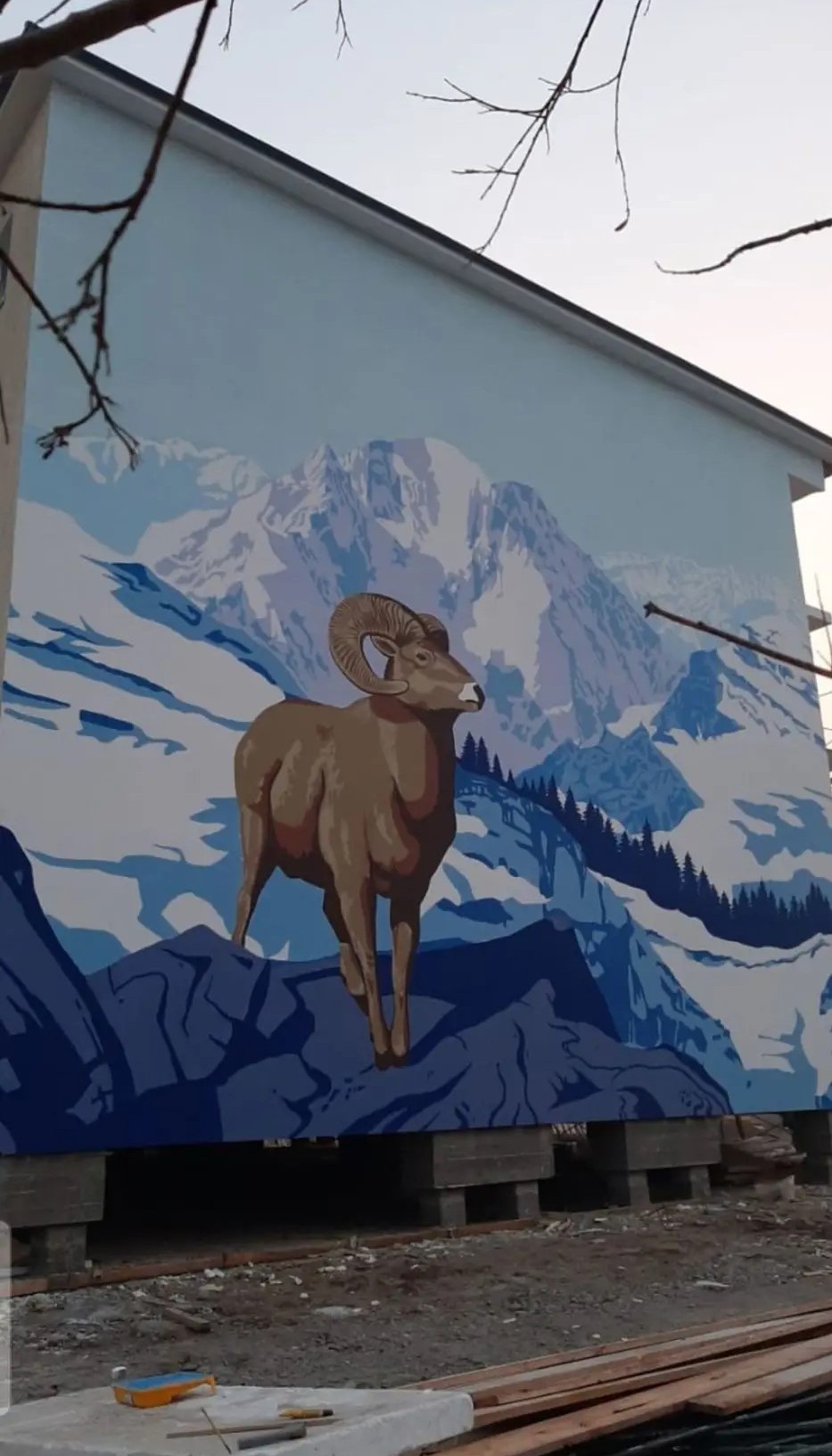 чубуку
