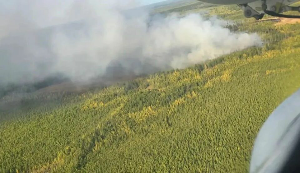 Лесной пожар возник в Хангаласском районе из-за неосторожного обращения с огнем