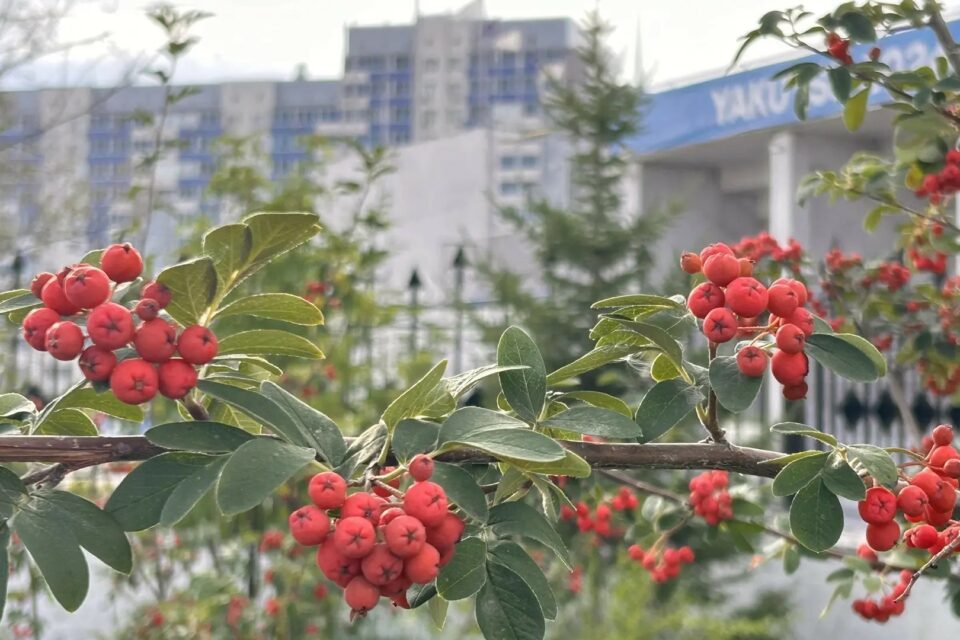 Народные приметы на 20 августа 2026 года: что можно и нельзя делать в день Марины-Пимены
