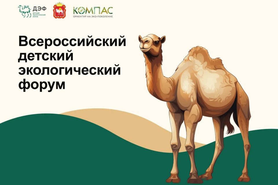 Проект якутских школьников вышел в финал всероссийского экологического форума