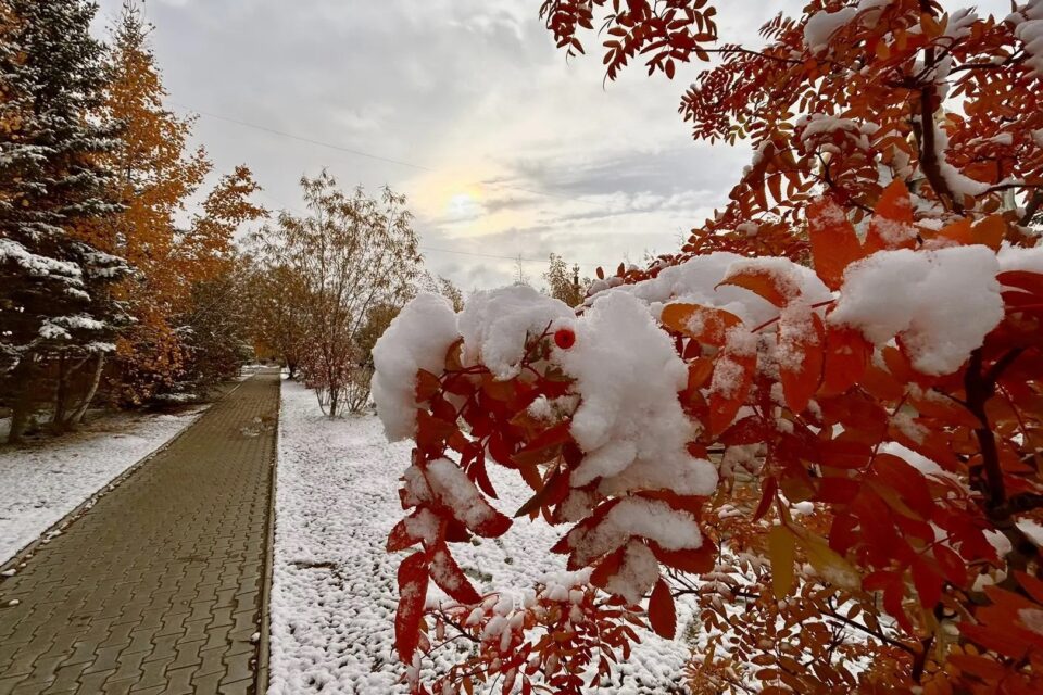 16 сентября — Домна Доброродная: приметы, по которым определяют зиму