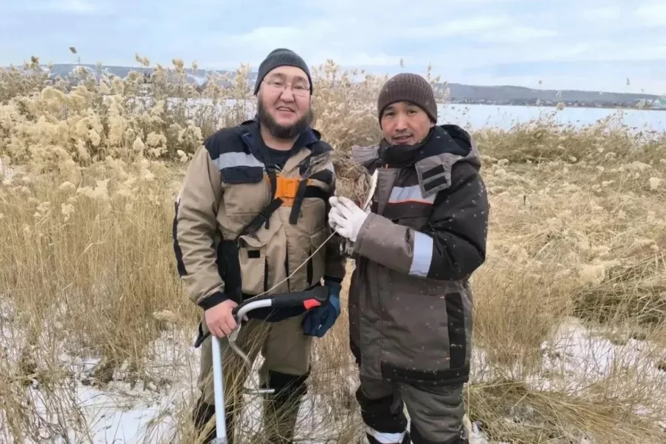 В Якутске во время скоса камыша спасли утку