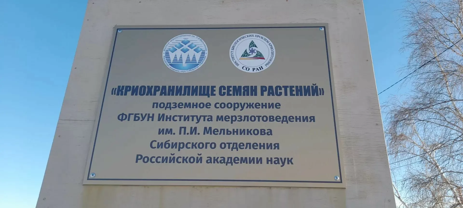 Фото Алексея Рудых/ЯСИА