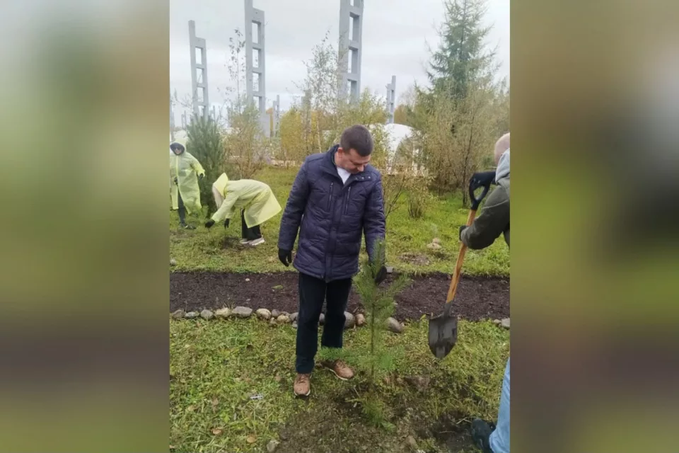 4000 сосен на месте БЦБК: Сбер стал партнером международного лесовосстановительного форума