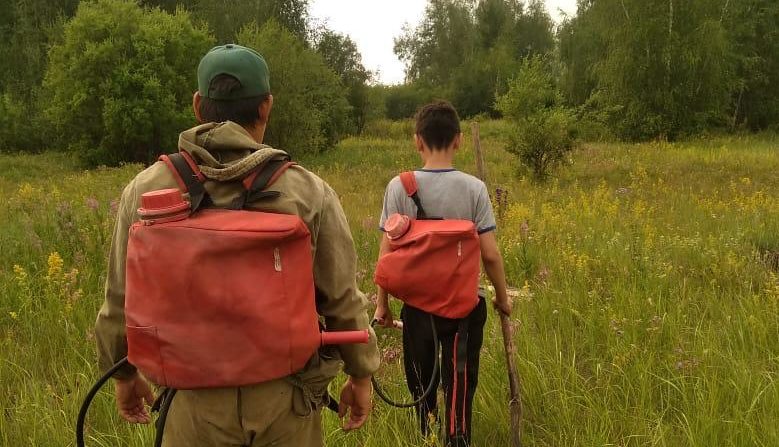 За прошедшие сутки в Якутии ликвидировано 7 лесных пожаров