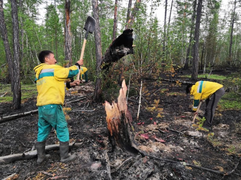 Минприроды Якутии: угроз от лесных пожаров населенным пунктам и объектам экономики нет