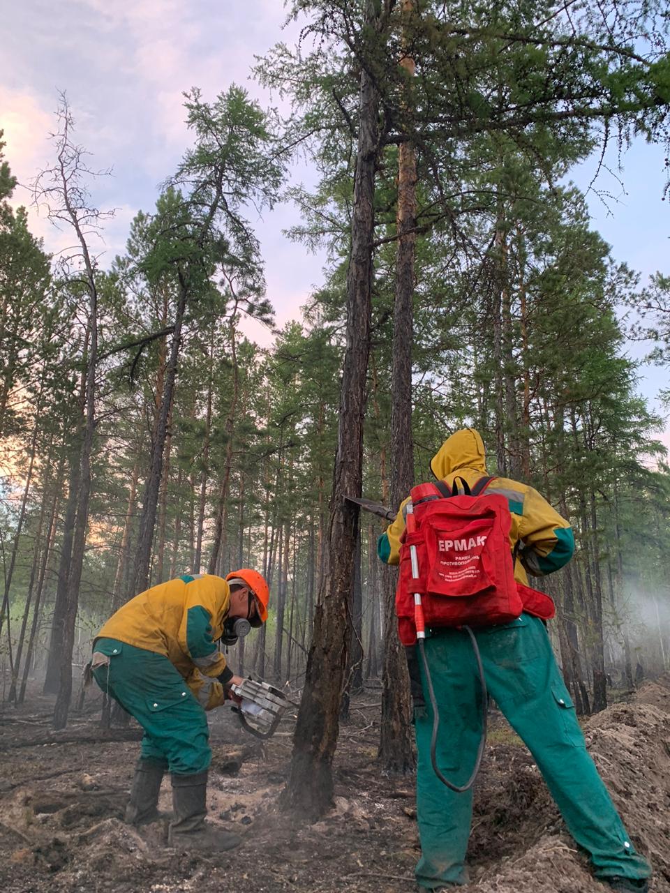 22 лесных пожара тушат на территории Якутии