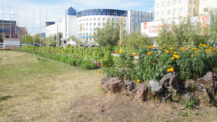 Озеленение Якутск Орджоникидзе