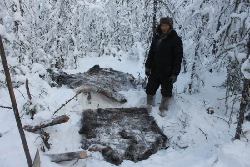 В Якутии возбудили уголовное дело о незаконной охоте на копытных животных