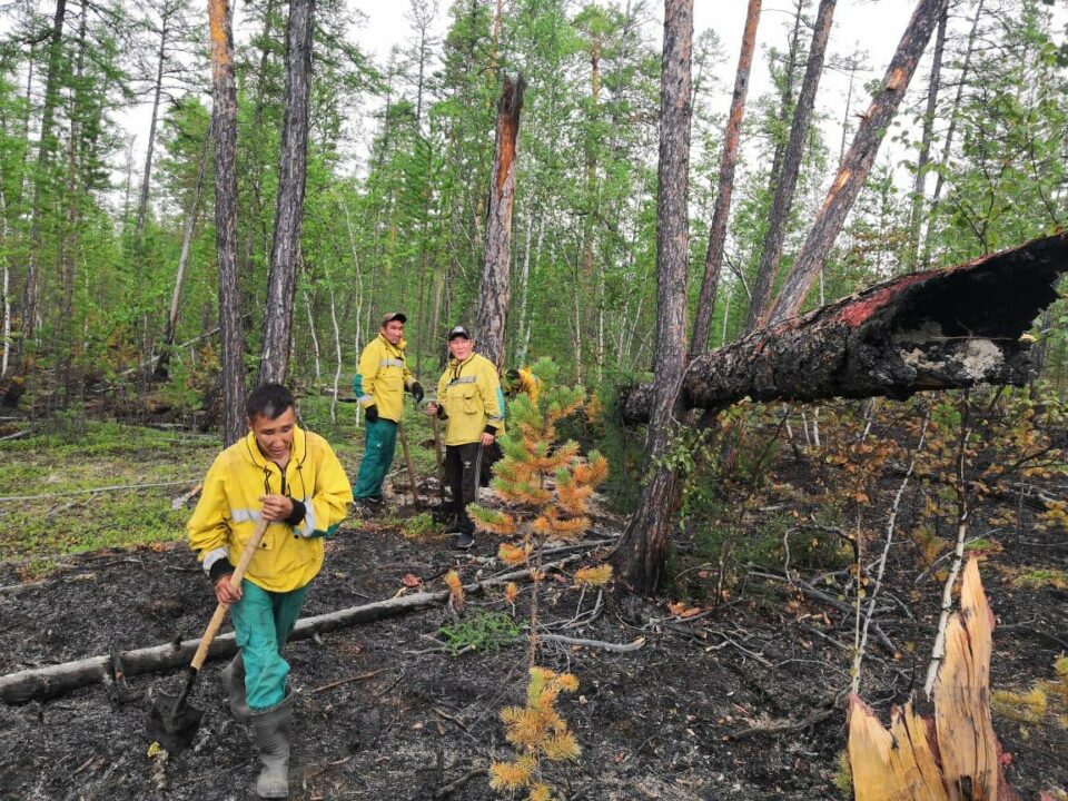 На особом контроле находятся лесные пожары в Горном и Сунтарском районах Якутии