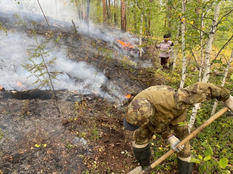 В Якутске локализовали лесной пожар вблизи СОНТ «Сатал»