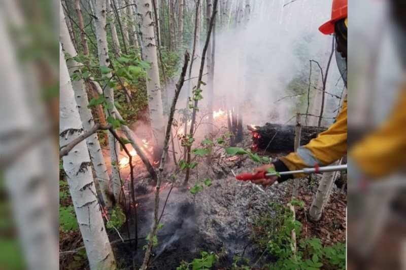 В Нюрбинском районе огнеборцы тушат лесной пожар