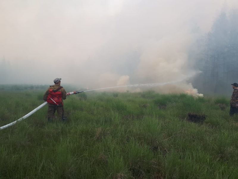 В Якутии тушат 47 лесных пожаров, 15 из них локализованы