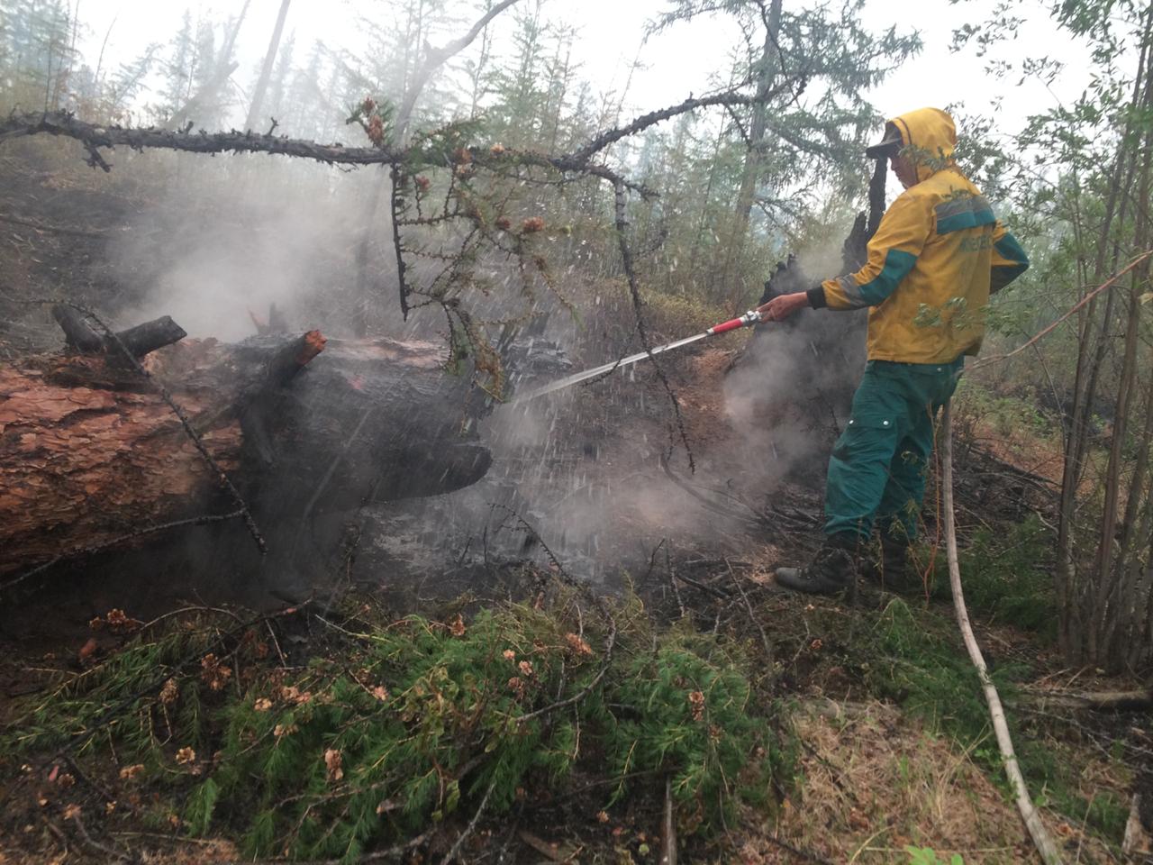 Тяжёлый труд. Руководитель группы Айаал Яковлев рассказал о тушении лесных пожаров в Верхоянском районе